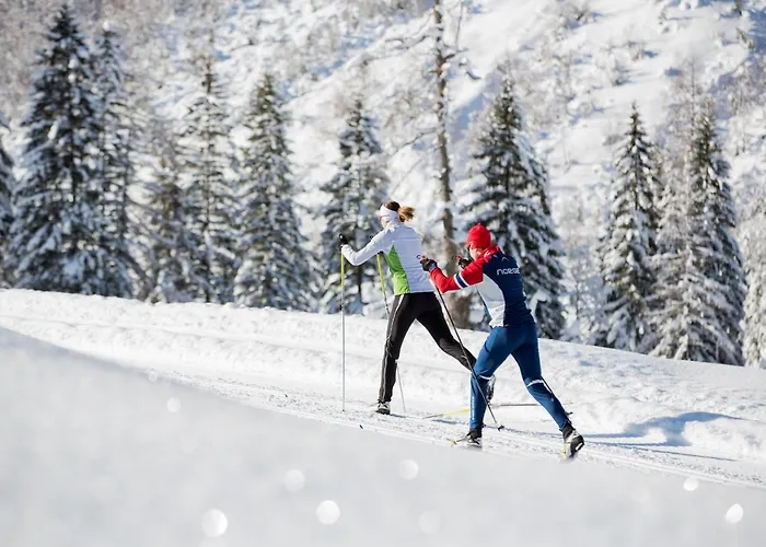 Alpesi faház Grossmitt